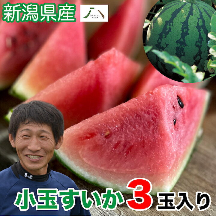 㻺 ̥ ɱ 1.3kg3 ̸ ̵ 渵 渵  ե ץ쥼    Ť ...