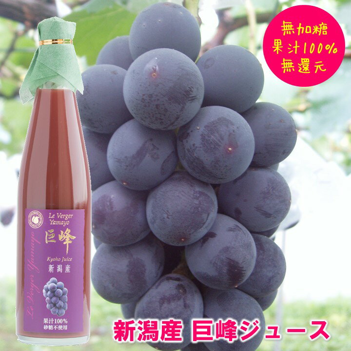 巨峰ジュース 500ml 果汁100% 新潟県産 無加糖 無還元 ストレートジュース ぶどうジュース 果物ジュース フルーツジュース ブドウ 葡萄 巨峰 誕生日 お祝い 内祝い お礼 お返し 敬老の日 お歳暮 御歳暮 ギフト プレゼント 贈り物 贈答 お取り寄せ 新潟県 ヤマヨ果樹園