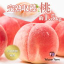 【早割 ポイント20%還元】 山梨 完熟収穫桃 約1.5kg 【2025年予約販売】TakanoFarm 楽天ランキング1位 タカノファーム 自社農園栽培 (発...