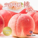 【早割 ポイント20%還元】 山梨 完熟収穫桃 約2kg 【2025年予約販売】TakanoFarm タカノファーム 自社農園栽培 (発送時期7月中旬〜8月上旬...