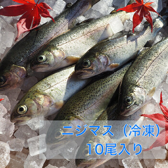 ニジマス にじます 虹鱒 マス 川魚 BBQ 新潟 魚沼 送料無料 ギフト 塩焼き 冷凍 10尾セッ ...