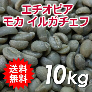 【送料無料(一部地域を除く)】コーヒー 生豆 エチオピア モカ イルガチェフG1 10kg(5kg×2)