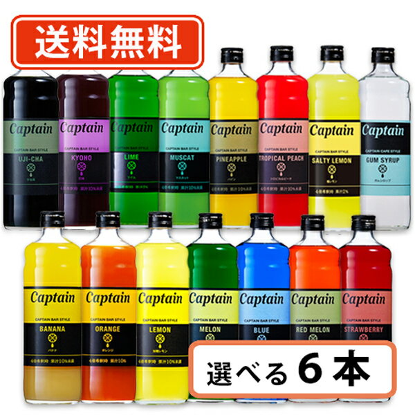 エントリーしてポイント5倍 5月23日20時スタート キャプテンシロップ 600ml 選べる6本セット 《A》 キャプテン 中村商店バー かき氷 ソーダ 割り材 カフェ 【送料無料 一部地域を除く 】