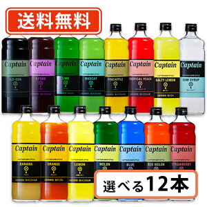 エントリーしてポイント5倍！お買い物マラソン期間中★キャプテンシロップ 600ml 選べる12本セット 　《A》キャプテン 中村商店バー かき氷 ソーダ 割り材 カフェ　 【送料無料(一部地域を除く）】