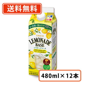 日東紅茶 レモネードベース 480ml×12本【送料無料(一部地域を除く)】
