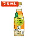 ポッカサッポロ 北海道夕張メロンソーダ 410ml×24本　