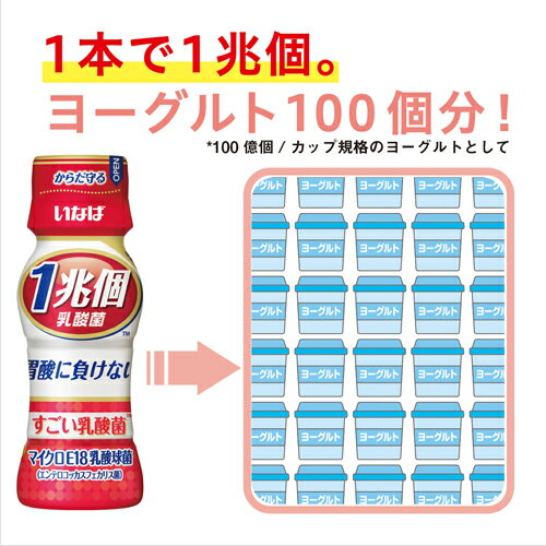 いなば食品1兆個すごい乳酸菌ドリンク 65ml×50本 【送料無料(一部地域を除く）】　1兆個 乳酸菌