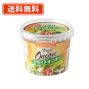 トマトコーポレーション フライドオニオン(オランダ産) 100g×48個 【送料無料(一部地域を除く)】