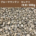 エントリーしてポイント最大9倍!4日20時スタート☆コーヒー 生豆 ブルーマウンテン セレクト 500g 【送料無料/メール便】