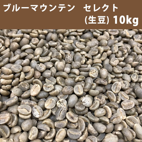 コーヒー 生豆 ブルーマウンテン セレクト 10kg(5kg×2)【送料無料(一部地域を除く)】【同梱不可】