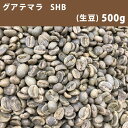 エントリーしてポイント最大9倍!4日20時スタート☆コーヒー 生豆 グアテマラ SHB 500g 【送料無料/メール便】