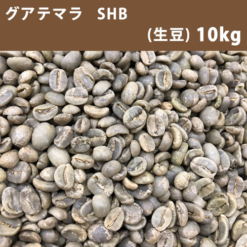 コーヒー 生豆 グアテマラ SHB 10kg(5kg×2) 【送料無料(一部地域を除く)】【同梱不可】