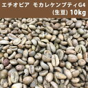 コーヒー 生豆 エチオピア モカ レケンプティ G4　 10kg(5kg×2)【同梱不可】【送料無料(一部地域を除く)】