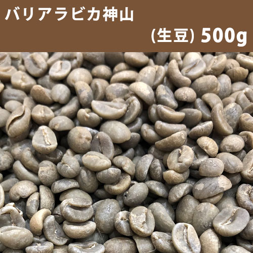【送料無料】メール便 コーヒー 生豆 バリアラビカ神山 500g【同梱不可】