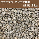 エントリーしてポイント5倍！お買い物マラソン期間中★コーヒー 生豆 グアテマラ アゾテア農園 2kg【送料無料(一部地域を除く)】