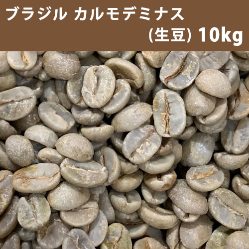 コーヒー 生豆 ブラジル カルモデミナス 10kg(5kg×2) 【送料無料(一部地域を除く)】