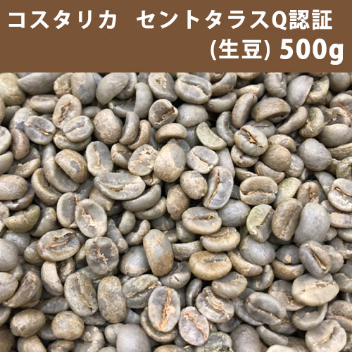 【送料無料】メール便 コーヒー 生豆 コスタリカ セントタラス Q認証 500g【同梱不可】