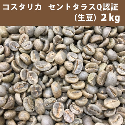 エントリーしてポイント5倍！5月23日20時スタート！コーヒー 生豆 コスタリカ セントタラス Q認証 2kg【送料無料(一部地域を除く)】