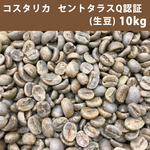 コーヒー 生豆 コスタリカ セントタラス Q認証 10kg(5kg×2) 【同梱不可】【送料無料(一部地域を除く)】