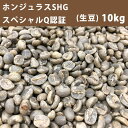 コーヒー 生豆ホンジュラスSHGスペシャル Q認証 10kg(5kg×2) 