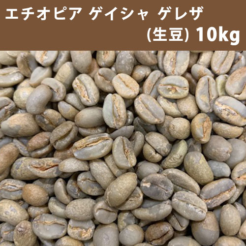 コーヒー 生豆 エチオピア ゲイシャ ゲレザ　G310kg(5kg×2)【同梱不可】【送料無料(一部地域を除く)】のサムネイル