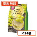 エントリーしてポイント5倍！マラソン期間中★日東紅茶 至福のシャインマスカット 10本入×24袋【送料無料(一部地域を除く)】