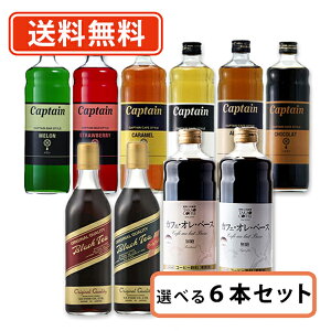 エントリーしてポイント5倍！お買い物マラソン期間中★キャプテンシロップ カフェスタイル GS ブラックティー高尾珈琲 カフェオレベース選べる 6本セット (500ml～600ml×6本) リキッド アイスティー カフェオレ バタフライピー【送料無料(一部地域を除く)】