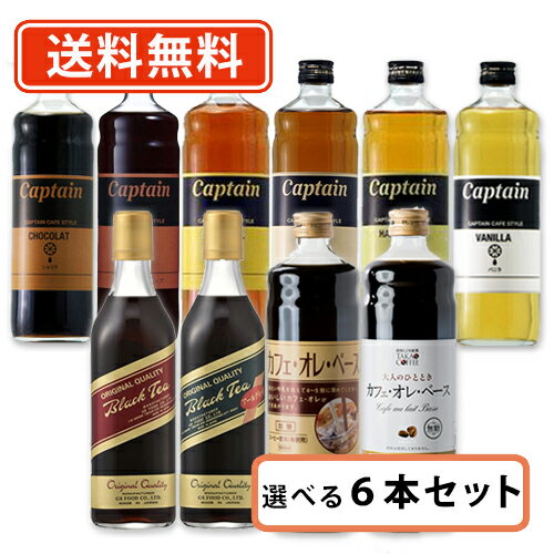 19日20時スタート！エントリーしてポイント5倍！キャプテンシロップ カフェスタイル GS ブラックティー高尾珈琲 カフェオレベース選べる 6本セット (500ml～600ml×6本) リキッド アイスティー カフェオレ バタフライピー【送料無料(一部地域を除く)】のサムネイル