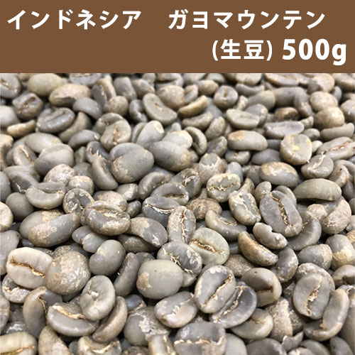 コーヒー 生豆 インドネシア ガヨ マウンテン 500g 【送料無料/メール便】