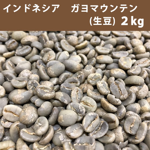 コーヒー 生豆 インドネシア ガヨ マウンテン 2kg 【送料無料(一部地域を除く)】