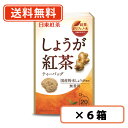 日東紅茶 しょうが紅茶 20袋入り×6箱【送料無料(一部地域を除く)】