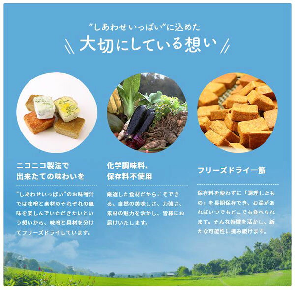 コスモス食品 しあわせいっぱい フリーズドライ みそ汁 スープ 12種類アソート 《B》 【送料無料/メール便】 お味噌汁 即席 インスタント プレゼント 非常食 備蓄 長期保存 takaocoffee-10005708 たかおマーケット サンプル画像2
