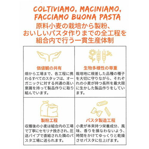 【エントリーしてポイント5倍！】7月4日20時〜7月11日1時59分まで☆創健社 ジロロモーニ　全粒粉デュラム小麦　有機スパゲッティ 500g×12個　送料無料(一部地域を除く)】 takaocoffee-10002589 たかおマーケット サンプル画像2