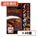 超ポイントバック祭り開催中!最大ポイント5倍★7月15日23時59分まで!中村屋 インドカリー ビーフスパイシー 200g×40個【送料無料(一部地域を除く)】