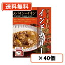 新宿中村屋 インドカリー スパイシーチキン 200g×40個【送料無料(一部地域を除く)】