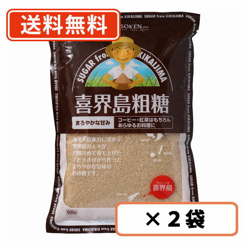 創健社 喜界島粗糖 500g×2袋　【送料無料/メール便】