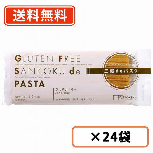 創健社 三穀deパスタ 180g×24袋(12袋入×2ケース)　【送料無料(一部地域を除く)】　グルテンフリー