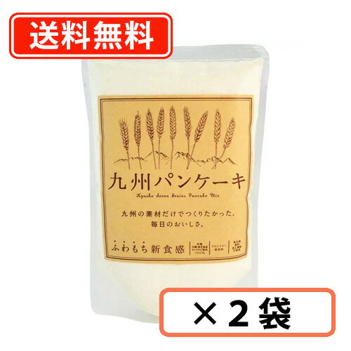 九州パンケーキ　200g×2袋　パンケーキ国産 無香料 九州産 地場もん国民大賞受賞【送料無料/メール便】..