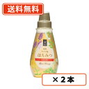 エントリーしてポイント5倍！お買い物マラソン期間中★日新蜂蜜　純粋カナダ産はちみつ　400g×2本　蜂蜜　純粋はちみつ　【カナダ産】　【送料無料(一部地域を除く）】