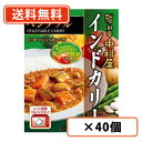 新宿中村屋 インドカリー ベジタブル 190g×40個カレー レトルトカレー curry 野菜 スパイス 電子レンジ調理可 【送料無料(一部地域を除く)】