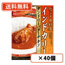 新宿中村屋 インドカリー タンドリーバターチキン 180g×40個 カレー レトルトカレー curry バターチキンカレー 【送料無料(一部地域を除く)】