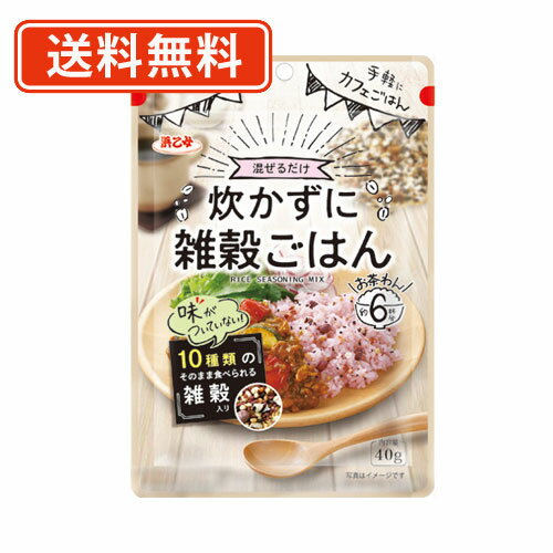 浜乙女 炊かずに雑穀ごはん　40g×10袋　キヌア　オートミール 【送料無料/メール便】