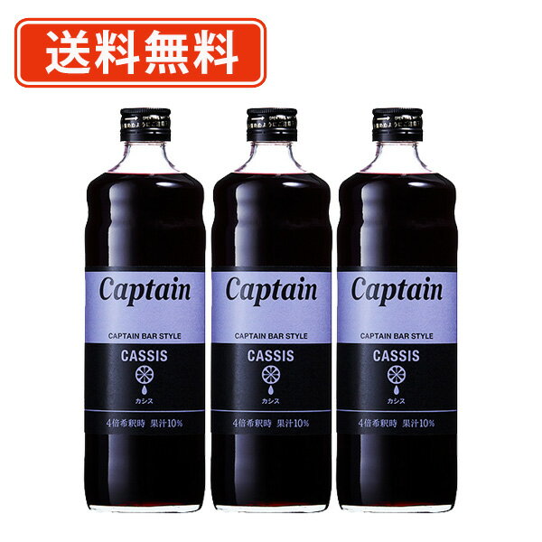 キャプテンシロップ カシス 600ml×3本キャプテン　中村商店 バー かき氷 ソーダ 割り材 カフェ　【送料無料(一部地域…