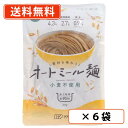 創健社 素材を味わうオートミール麺 100g×6袋 【送料無料(一部地域を除く)】