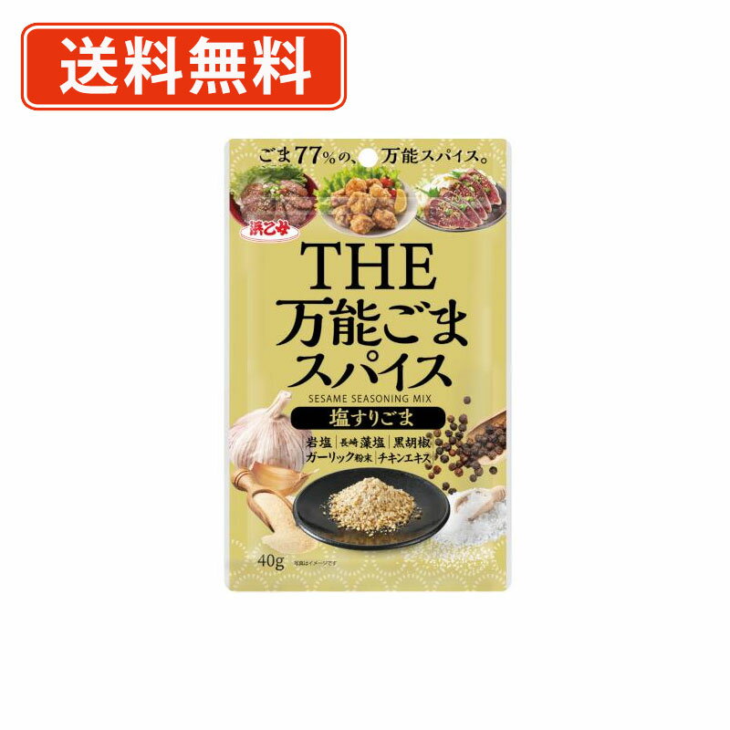 浜乙女　THE　万能ごまスパイス　塩すりごま　40g×10袋 岩塩　長崎藻塩　おにぎり【送料無料/メール便】のサムネイル