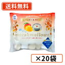 明治屋 夏を楽しむ マンゴー&杏仁マシュマロ 70g×20袋 期間限定 マンゴー 【送料無料(一部地域を除く)】