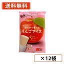エントリーしてポイント5倍★7月19日20時スタート!凍らせて食べる りんごアイス (70g×4P)×12袋 谷尾食糧工業 国産 りんご アイス 【送料無料(一部地域を除く)】(4)