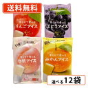 超ポイントバック祭り開催中!最大ポイント5倍★7月15日23時59分まで!谷尾食糧工業 凍らせて食べる アイス4種類から選べる12袋セット(3袋単位) 国産 り...