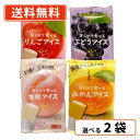 超ポイントバック祭り開催中!最大ポイント5倍★7月15日23時59分まで!谷尾食糧工業 凍らせて食べる アイス4種類から選べる2袋セット 国産 りんご みかん ...