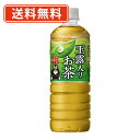 エントリーしてポイント5倍!【8月4日20時〜8月11日1時59分まで】ポッカサッポロ 玉露入りお茶 600mlPET×24本 【送料無料(一部地域除く)】(4)